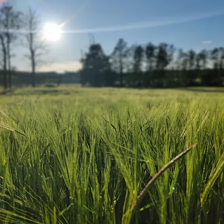 Ferienhaus Feldblick - Am Rande Des Odenwalds Nahe Sinsheim & Heidelberg 아파트 *