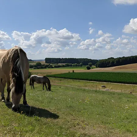 아파트 Ferienhaus Feldblick - Am Rande Des Odenwalds Nahe Sinsheim & Heidelberg Reichartshausen
