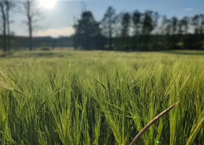 Ferienhaus Feldblick - Am Rande Des Odenwalds Nahe Sinsheim & Heidelberg Διαμέρισμα *