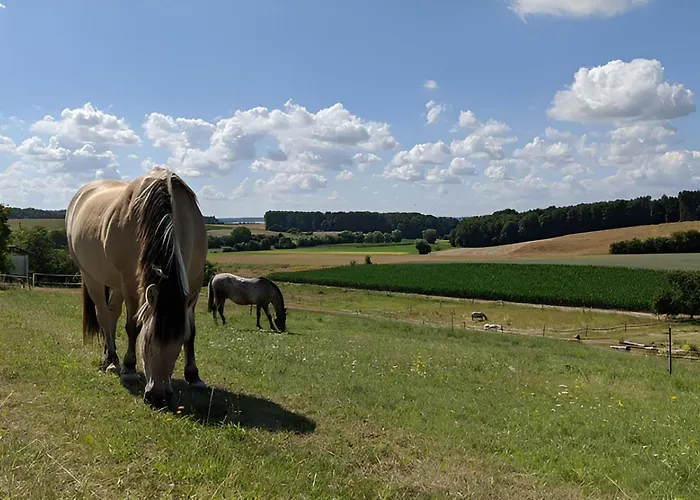Διαμέρισμα Ferienhaus Feldblick - Am Rande Des Odenwalds Nahe Sinsheim & Heidelberg Reichartshausen